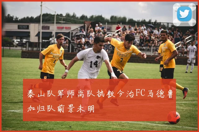 泰山队军师离队执教今治FC马德鲁加归队前景未明
