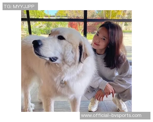 威少为爱犬庆生十一岁依然活力四射你是我心中的真正MVP 威少为爱犬庆生十一岁依然活力四射你是我心中的真正MVP